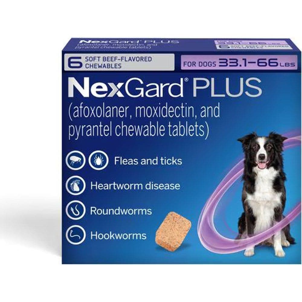 NexGard PLUS beef-flavored chewables for dogs