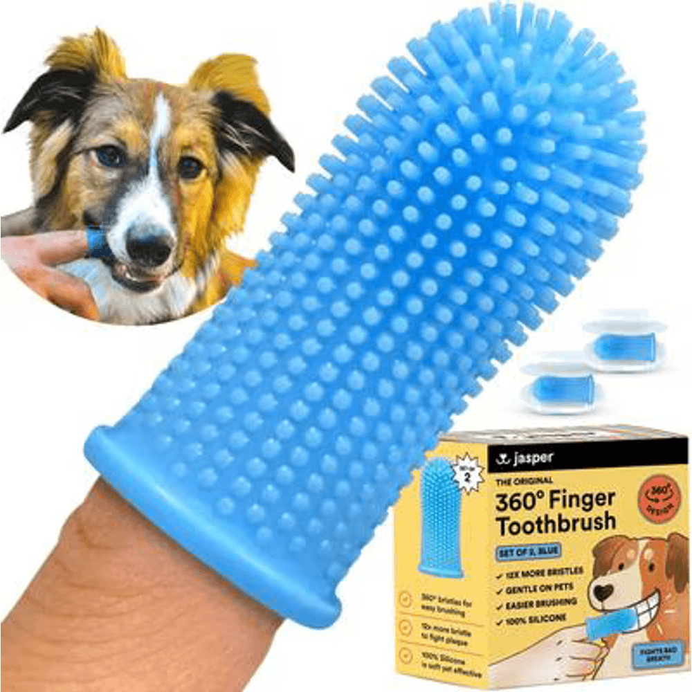 Jasper 360 blue silicone finger toothbrush for dogs with storage case